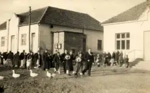 Sprievod zo svadby Jozefa Hrašku a Márie Brňovej. Ako je vidieť, bolo sa treba poriadne pozerať pod nohy :)