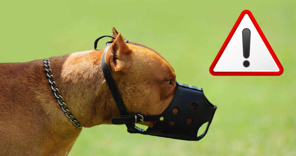 Upozornenie pre všetkých majiteľov, ktorí chodia venčiť svojich psov…