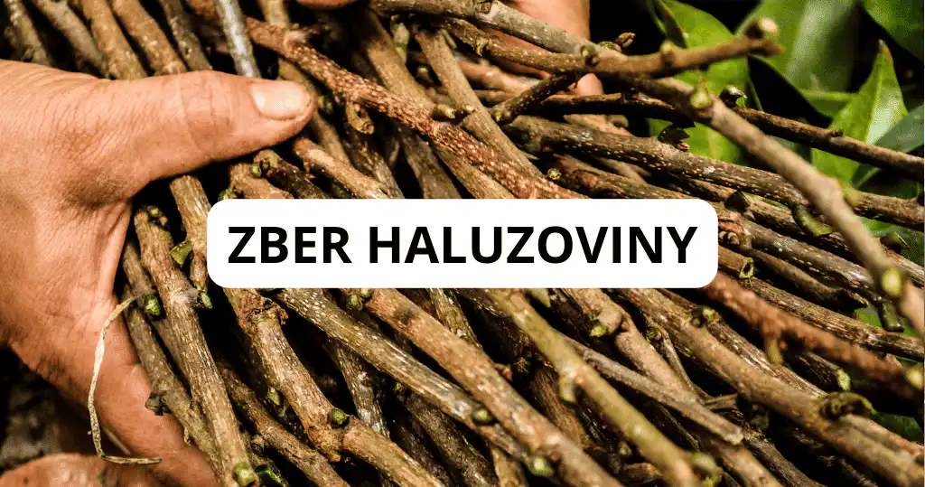 Oznamujeme, že v obci bude prebiehať zber haluzoviny