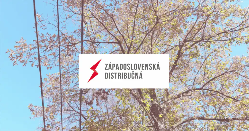 Orezanie a výrub drevín zasahujúcich do vedenia