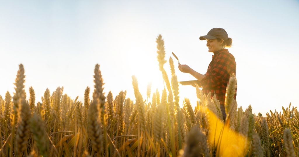 Ako postupovať, ak som samostatne hospodáriaci roľník?