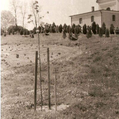 01_-_Strom_republiky_v_aleji_pred_kostolom_1968