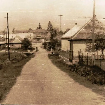 15_-_Cesta_ku_kastielu_okolo_ihriska_1969