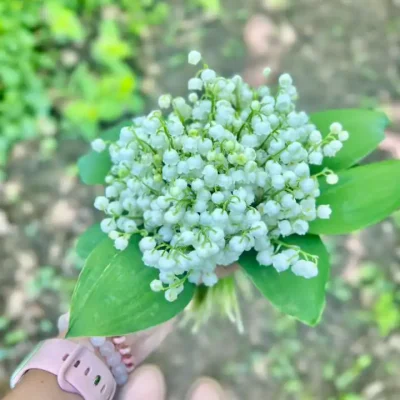 Autor: Romana Staněková