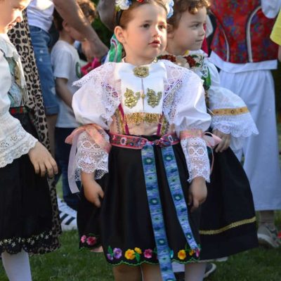 DSC_2733 veľkej veľkosti