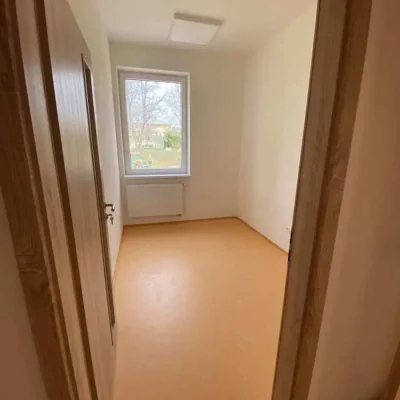 IMG_5446