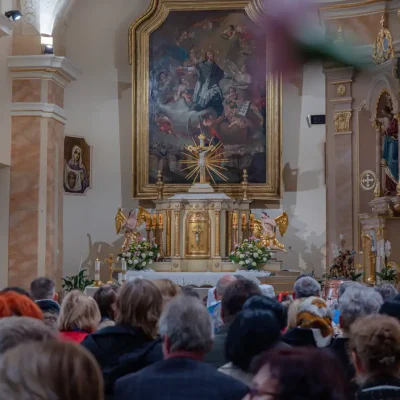 _MIC2895 – veľký