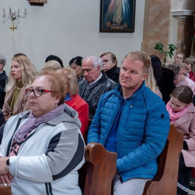 _MIC3039 – veľký