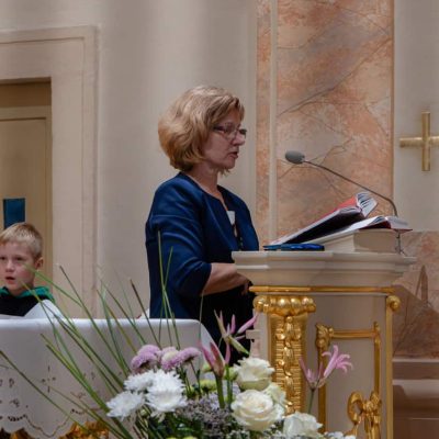 _MIC3135 – veľký