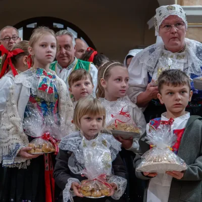 _MIC3157 – veľký