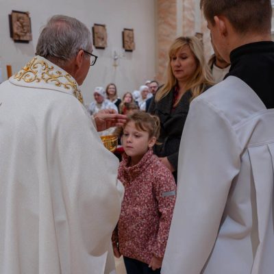 _MIC3439 – veľký