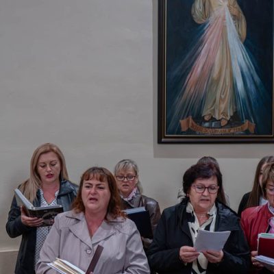 _MIC3488 – veľký