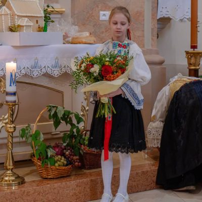 _MIC3502 – veľký