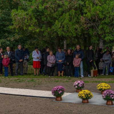 _MIC3690 – veľký