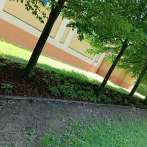 Trvalkový záhon pod stromami 2