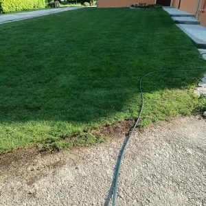 Zatrávňovacia rohož s trávou